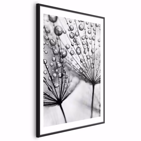 Poster med ram - Macro Dew