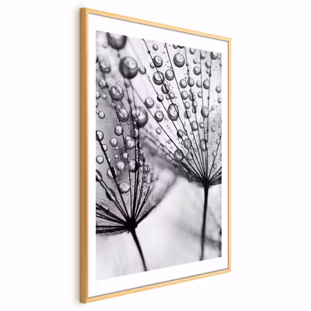 Poster med ram - Macro Dew
