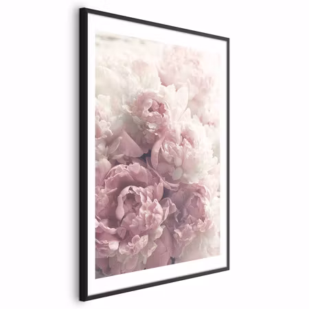 Poster med ram - Delicate Peonies