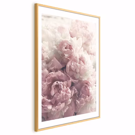 Poster med ram - Delicate Peonies