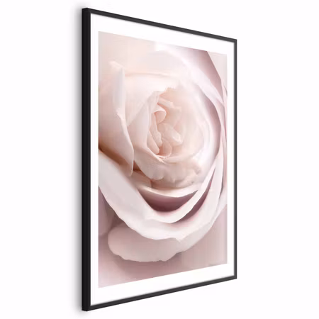 Poster med ram - Porcelain Rose