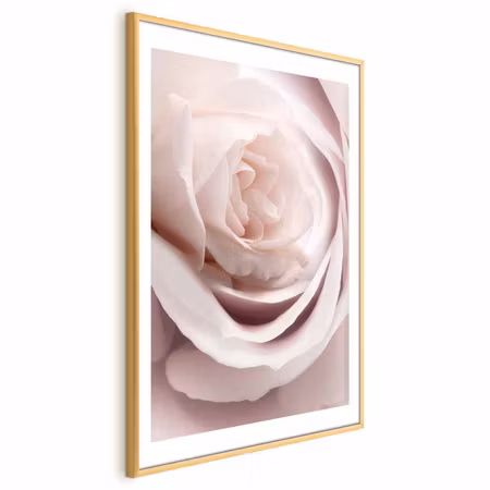 Poster med ram - Porcelain Rose
