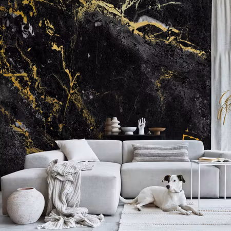 Fototapet - Black Elegance