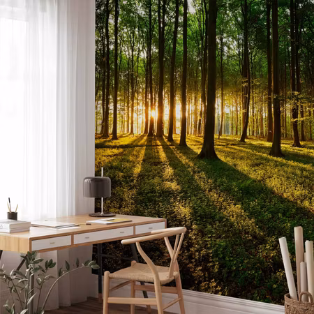 Fototapet - Spring Morning in the Forest
