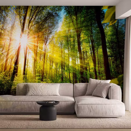 Fototapet - Forest Hideout