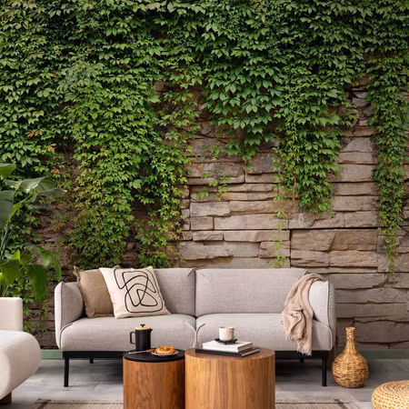 Fototapet - Ivy Wall