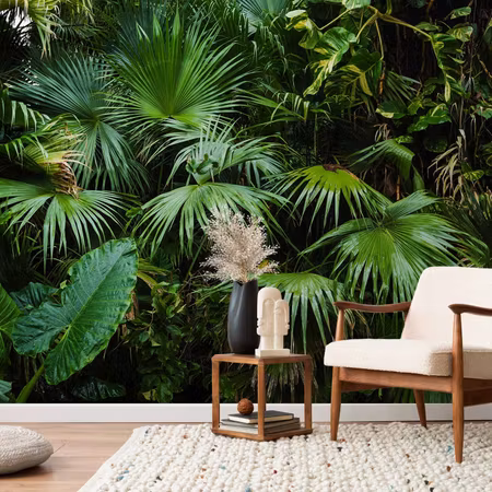 Fototapet - Sunny Jungle