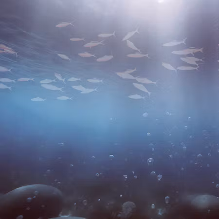 Rund fototapet - Fish in the depths