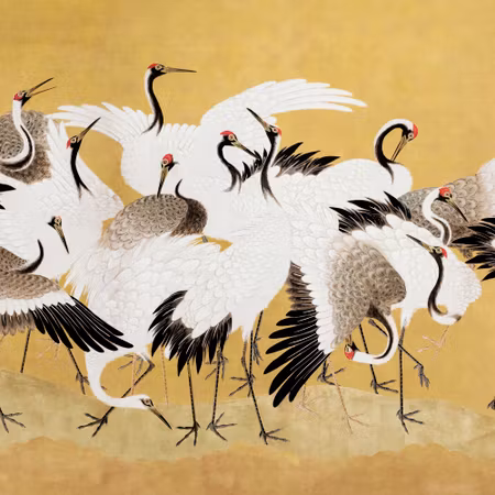 Rund fototapet - Japanese cranes a flock of birds