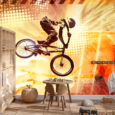 Fototapet - Cyclist