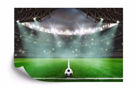 Fototapet - Soccer stadium