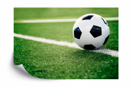 Fototapet - Soccer ball on the line