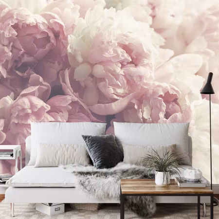 Fototapet - Blooming peonies
