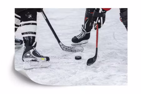 Fototapet - Hockey game