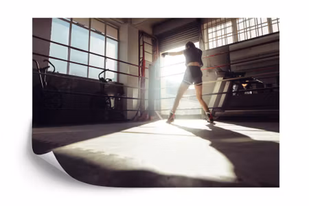 Fototapet - Training boxer