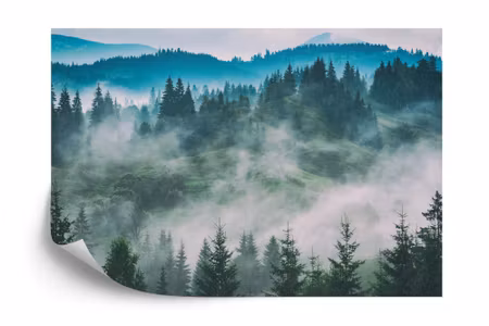 Fototapet - Forest in fog