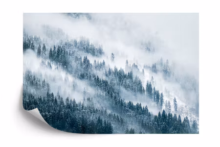 Fototapet - Forest in fog