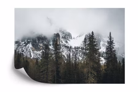 Fototapet - Forest in fog