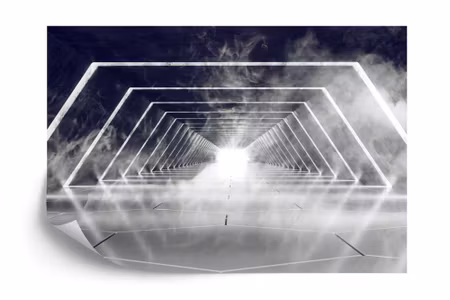 Fototapet - Forest in fog