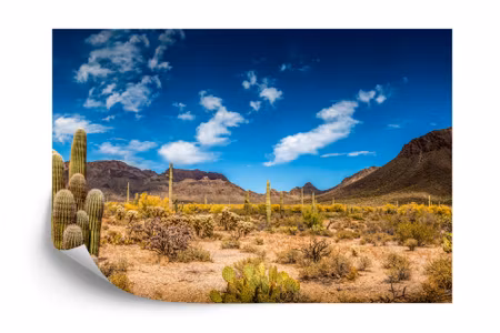 Fototapet - Landscape desert