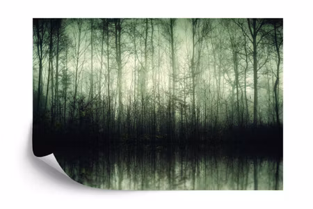 Fototapet - Forest trees water