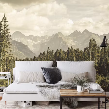 Fototapet - Forest mountains