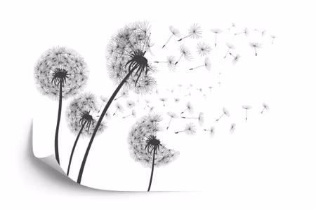 Fototapet - Dandelions
