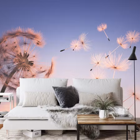 Fototapet - Dandelion seeds