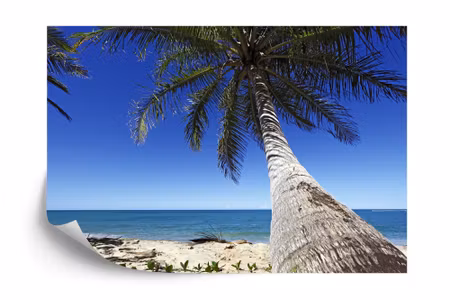 Fototapet - Beach ocean palm trees