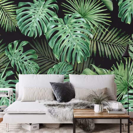 Fototapet - Monstera leaves