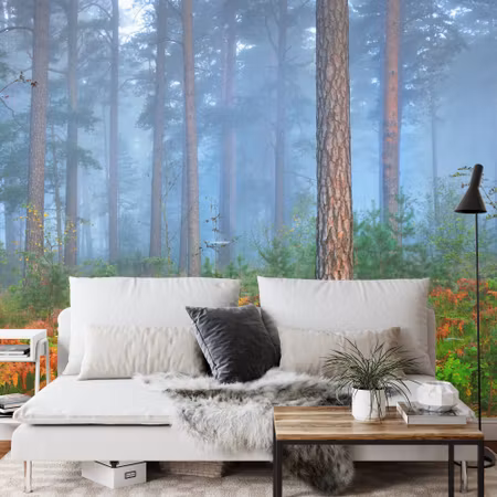Fototapet - Forest in fog