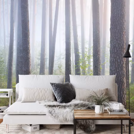 Fototapet - Forest in fog