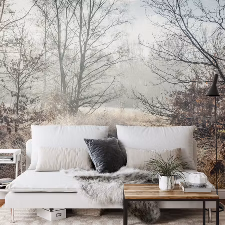 Fototapet - Forest in fog