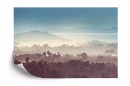 Fototapet - Forest in fog