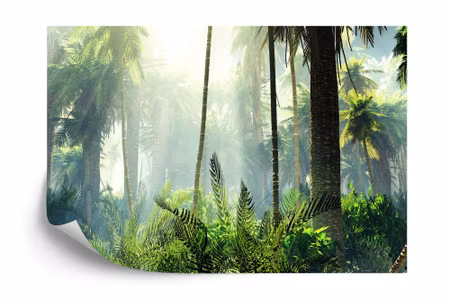 Fototapet - Forest in fog