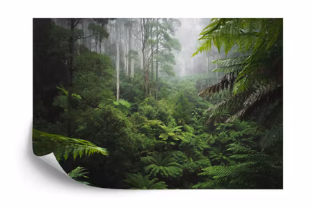 Fototapet - Forest in fog