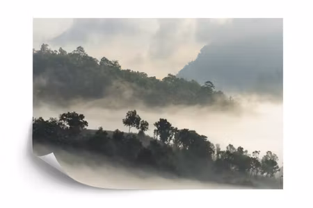 Fototapet - Forest in fog