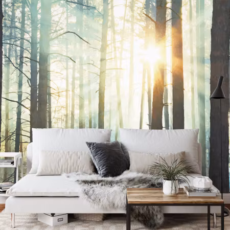 Fototapet - Forest in fog