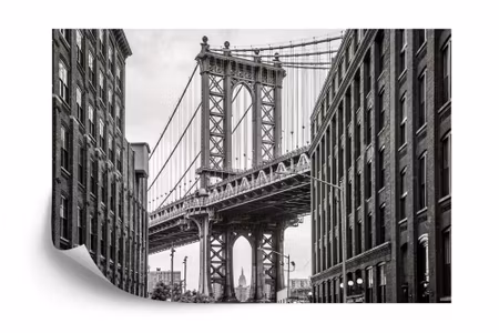 Fototapet - Bridge in New York city