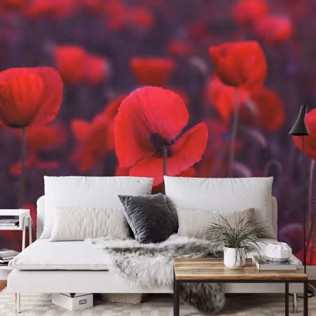 Fototapet - Wild red poppies
