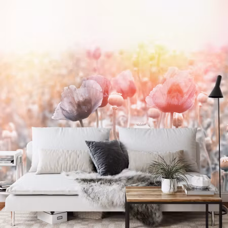 Fototapet - Poppy field