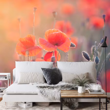 Fototapet - Poppy field
