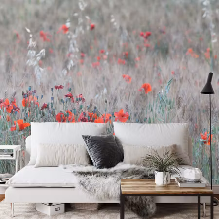 Fototapet - Poppy field