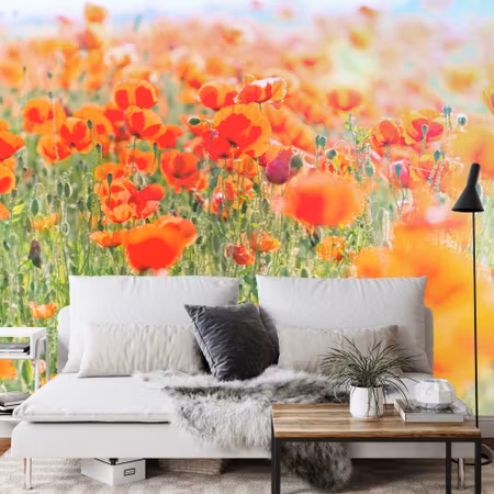 Fototapet - Field with red poppies