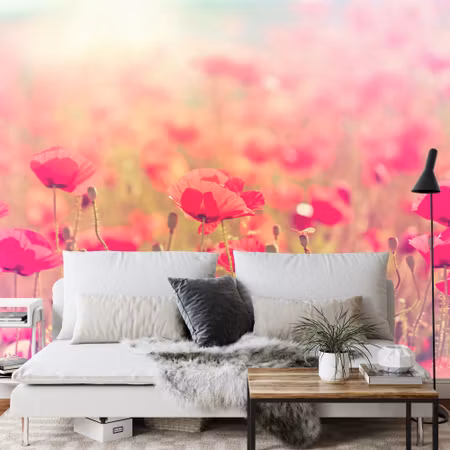 Fototapet - Wild poppies