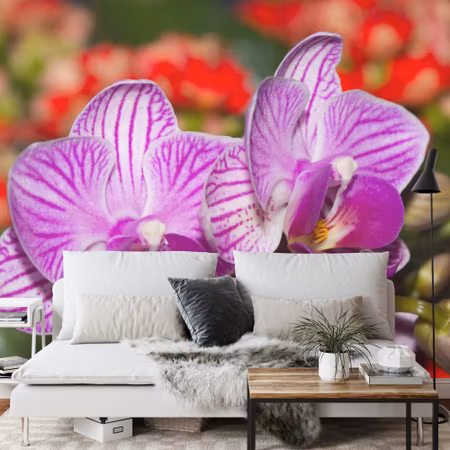 Fototapet - Optical orchid 3D