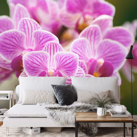 Fototapet - Orchid bouquet