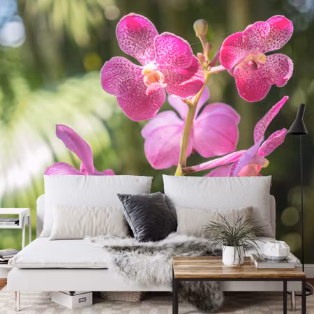 Fototapet - Beautiful orchids