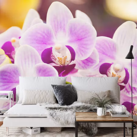 Fototapet - Tropical orchid