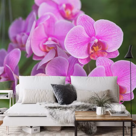 Fototapet - Orchid blossoms 3D